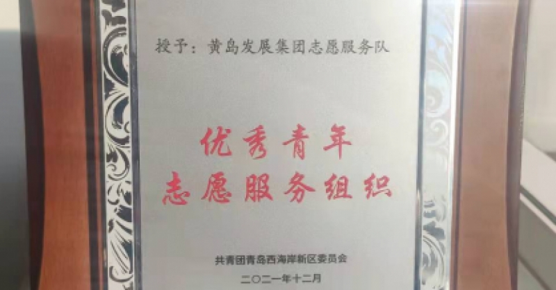 黄发集团志愿服务队获评新区“优秀青年志愿服务组织”